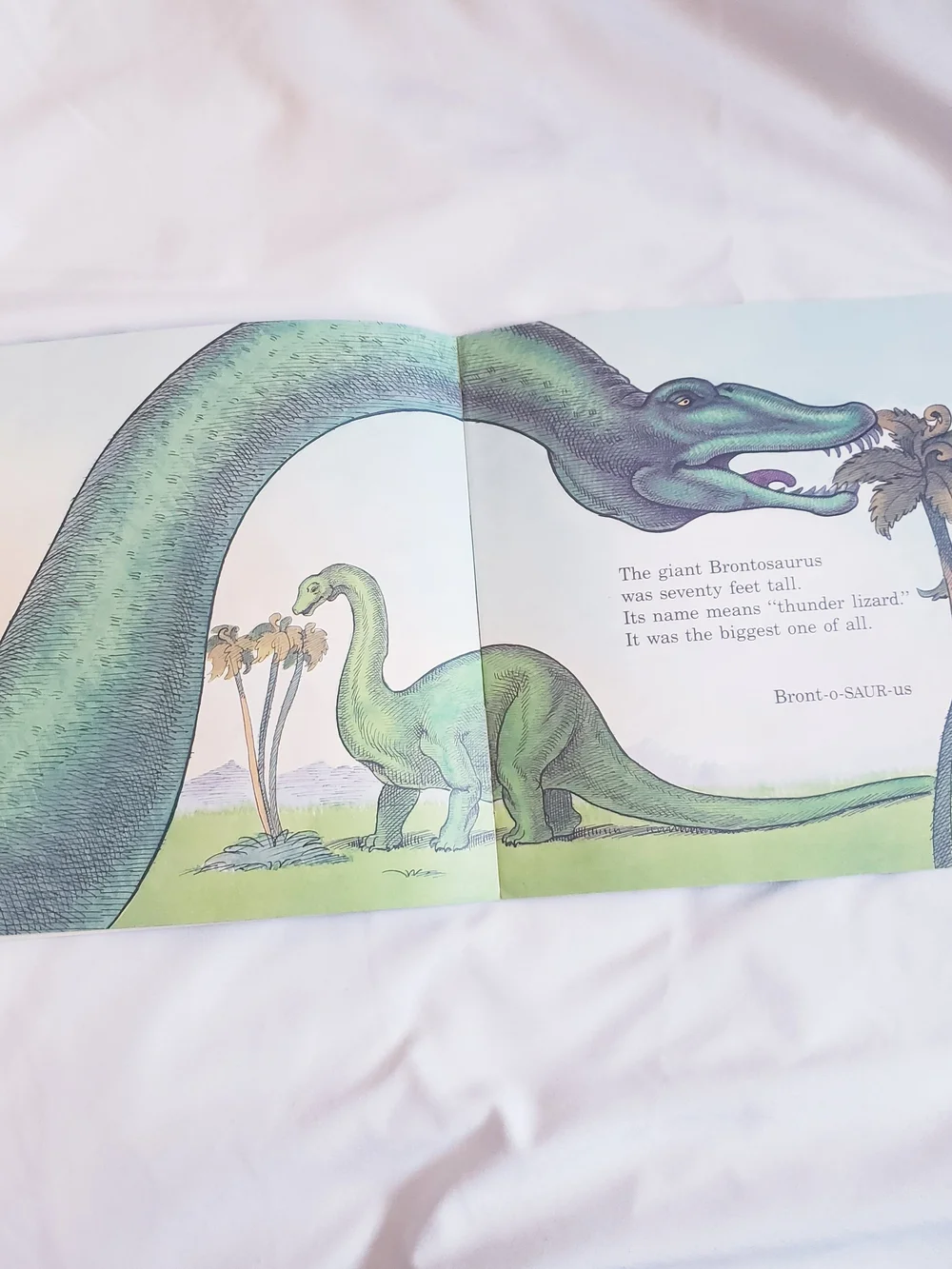 The Day of the Dinosaur Book